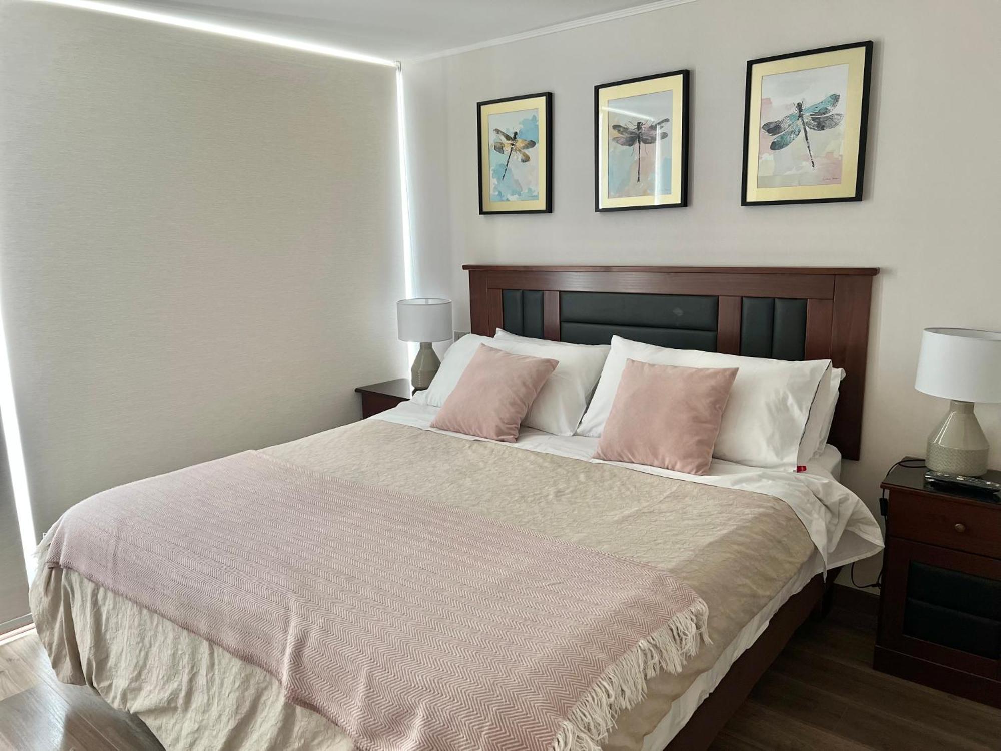 Apartamentos Concepcion Centro Luaran gambar