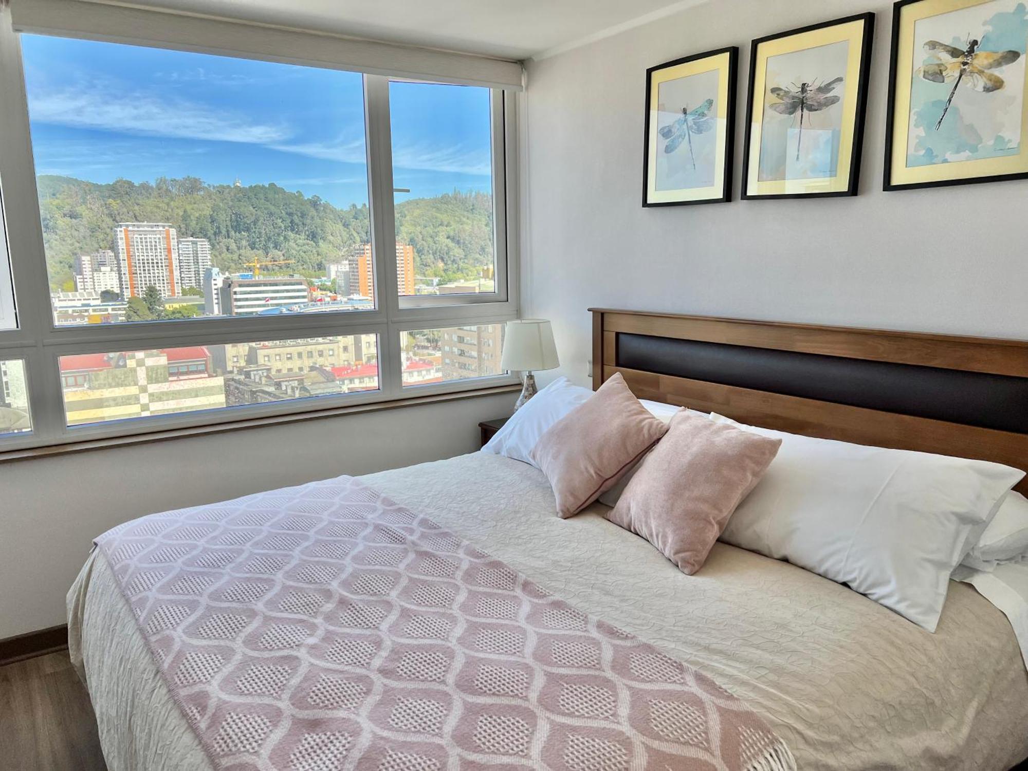 Apartamentos Concepcion Centro Luaran gambar
